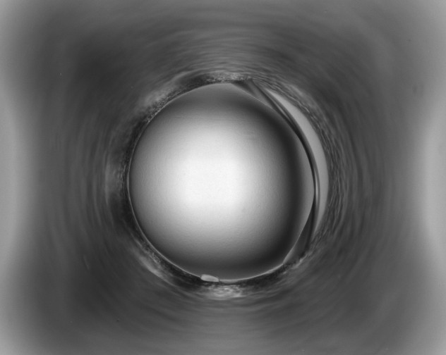 X0000087610409200704271344