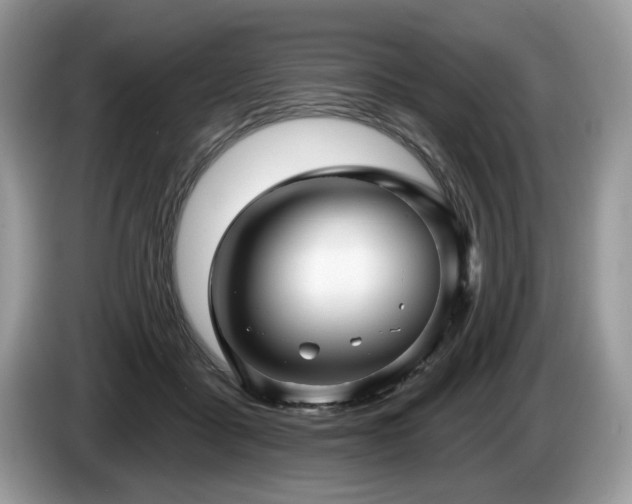 X0000087610411200704271344