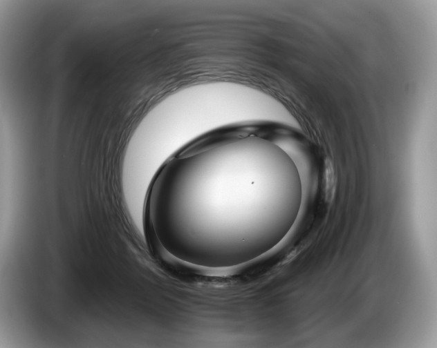 X0000087610412200704271344