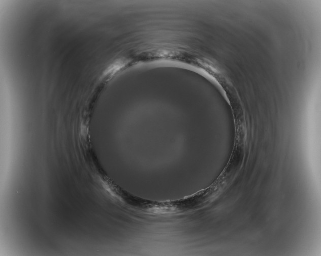 X0000087610415200704271344