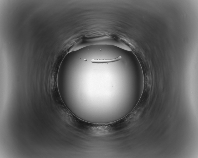 X0000087610422200704271344