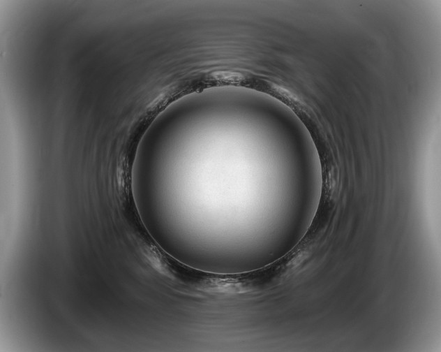 X0000087610424200704271344