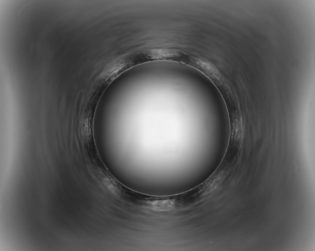 X0000087610426200704271344