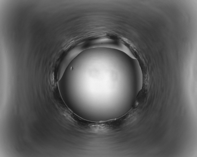 X0000087610428200704271344