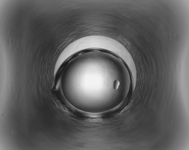 X0000087610429200704271344