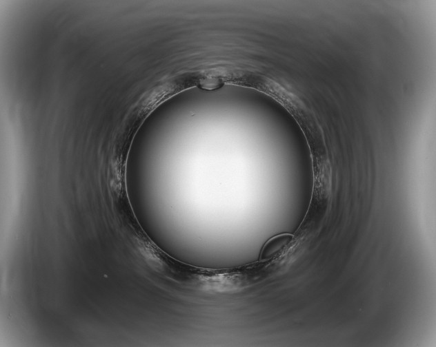 X0000087610430200704271344