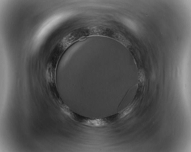 X0000087610431200704271344