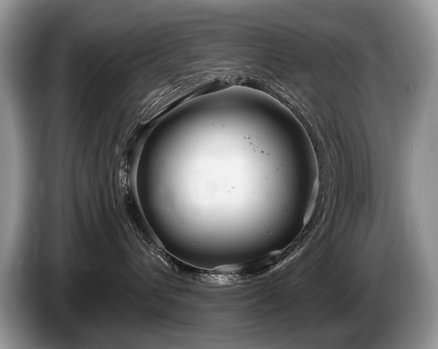 X0000087610432200704271344