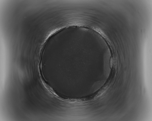 X0000087610434200704271343