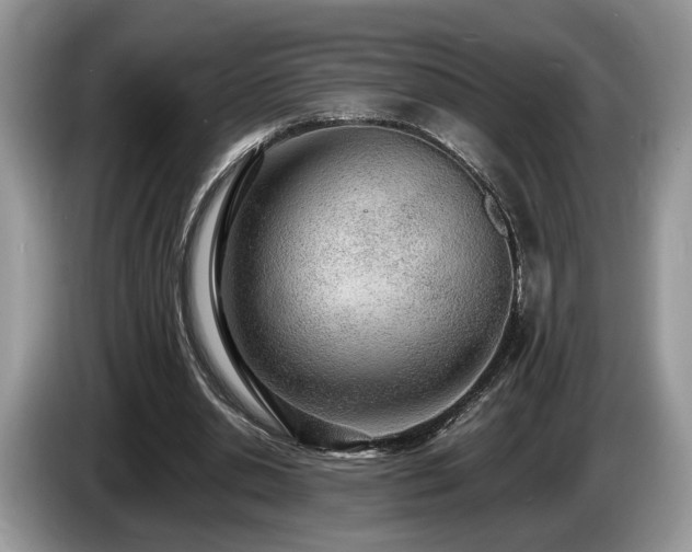 X0000087610438200704271343
