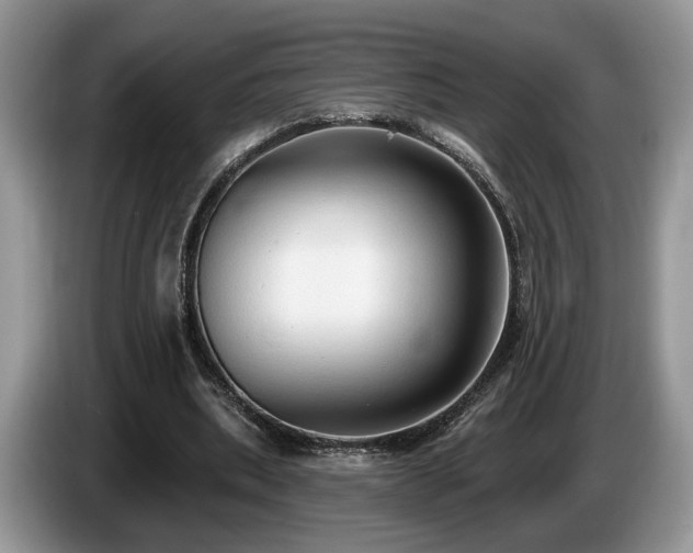 X0000087610439200704271343