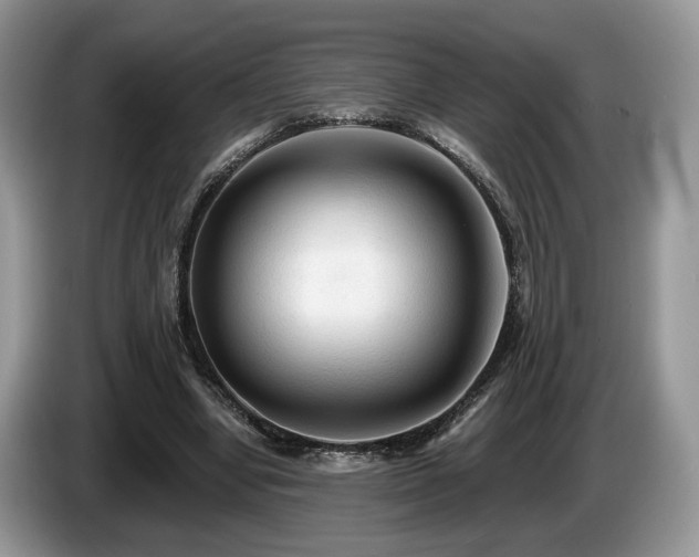 X0000087610442200704271343