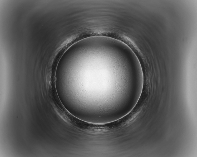 X0000087610443200704271343