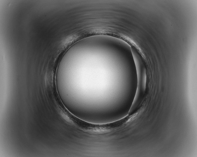 X0000087610445200704271343