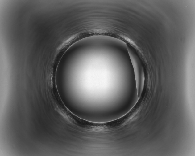 X0000087610446200704271343