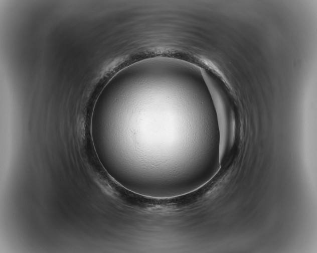 X0000087610447200704271343