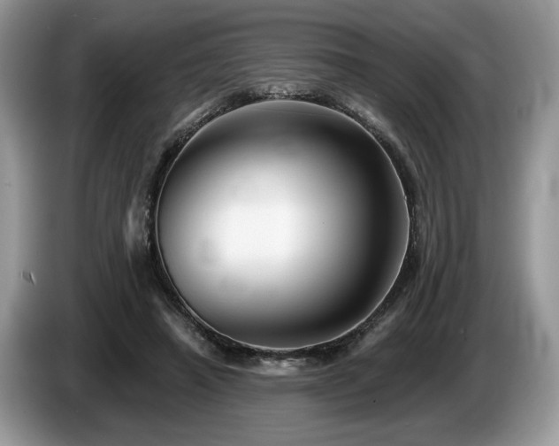 X0000087610450200704271343