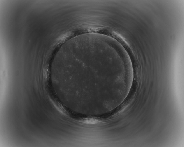 X0000087610451200704271343