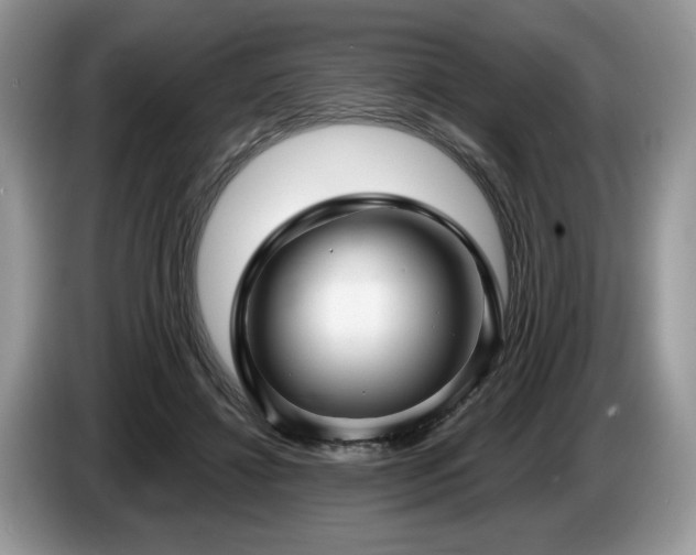 X0000087610452200704271343
