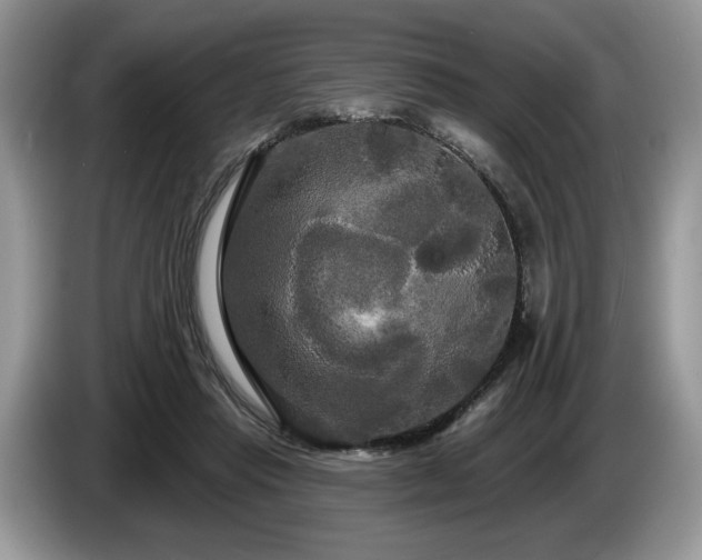 X0000087610453200704271343