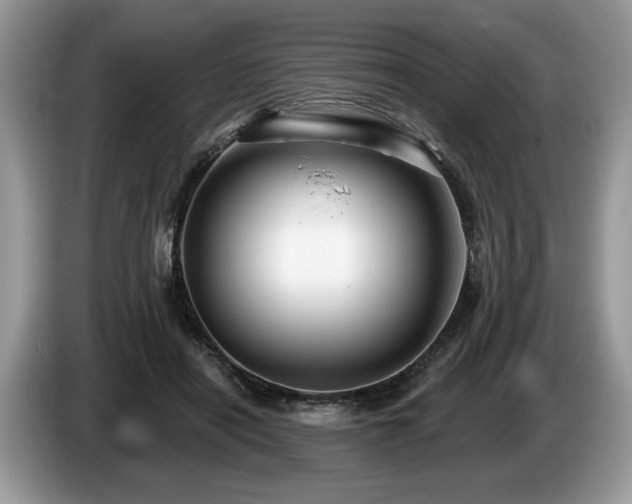 X0000087610454200704271343