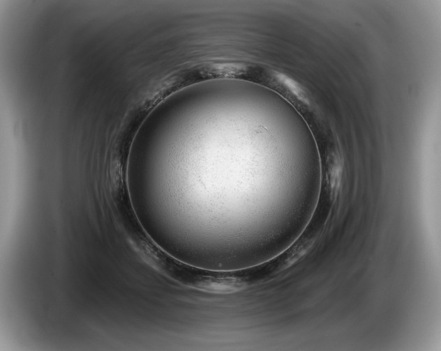 X0000087610459200704271344