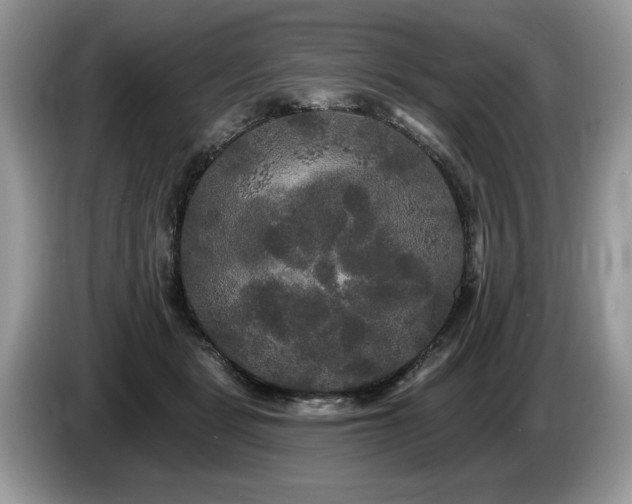 X0000087610461200704271344