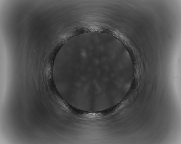 X0000087610465200704271344