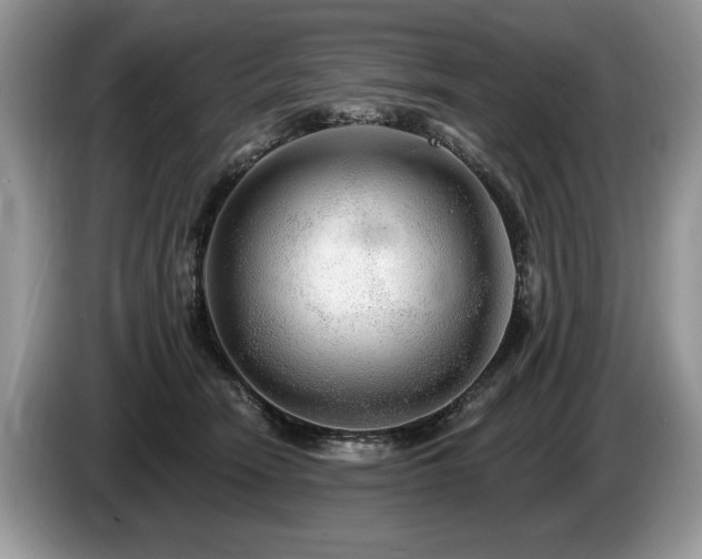 X0000087610466200704271344