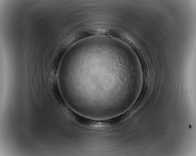 X0000087610467200704271344