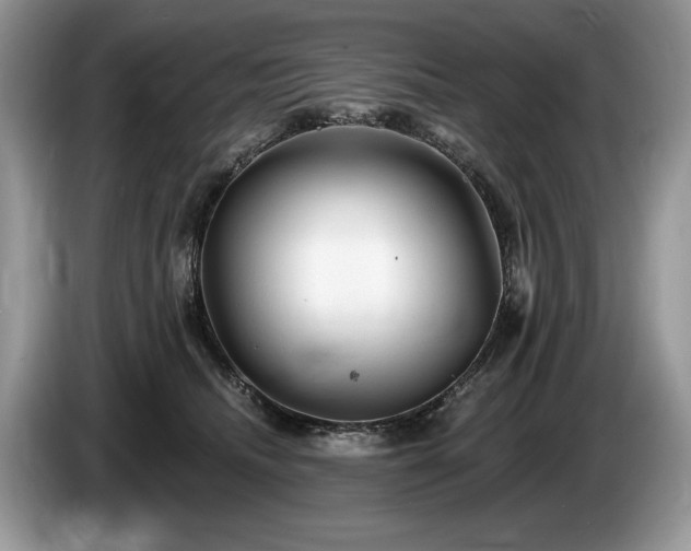 X0000087610468200704271344
