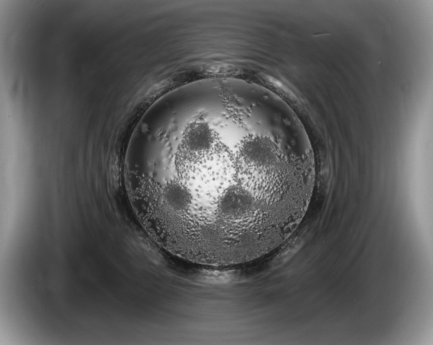 X0000087610469200704271344
