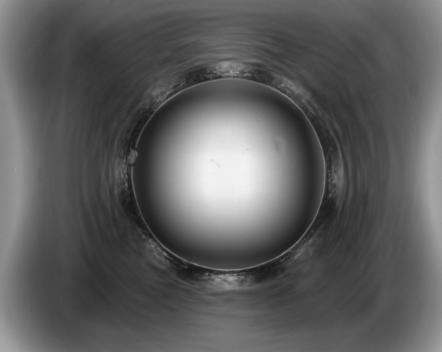 X0000087610473200704271344
