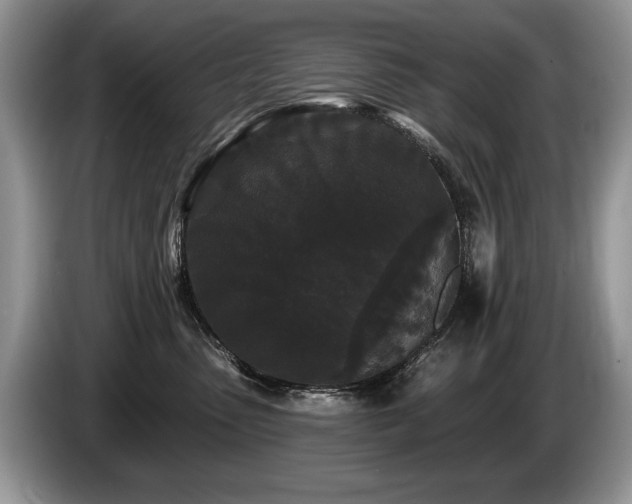 X0000087610475200704271344