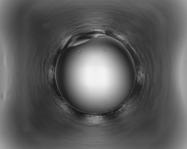 X0000087610476200704271344