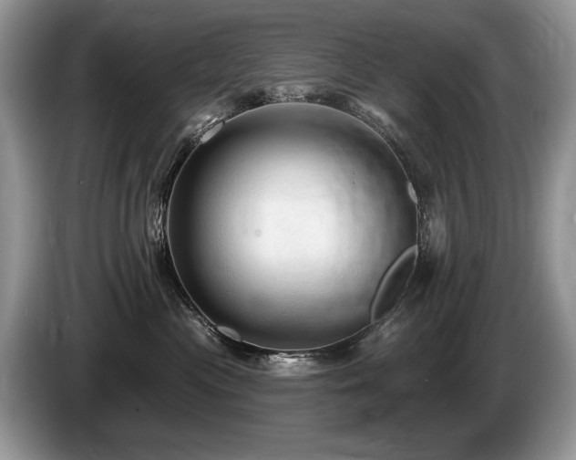 X0000087610477200704271344