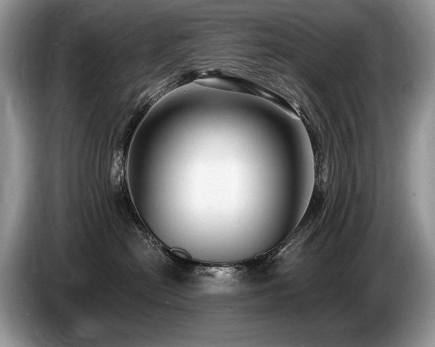 X0000087610478200704271344