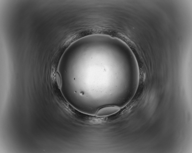 X0000087610479200704271344