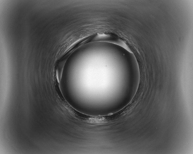 X0000087610480200704271344