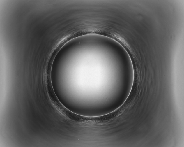 X0000087610482200704271343