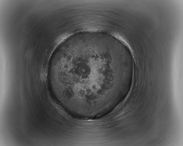 X0000087610483200704271343
