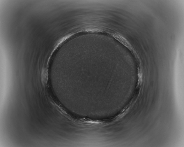 X0000087610484200704271343