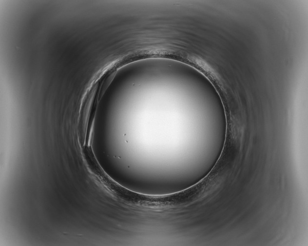 X0000087610486200704271343