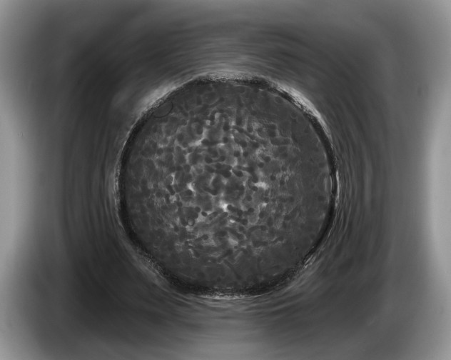 X0000087610487200704271343