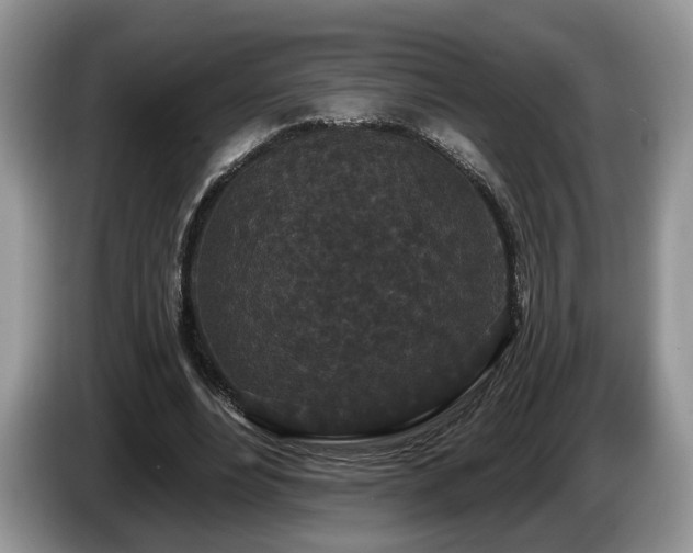 X0000087610488200704271343