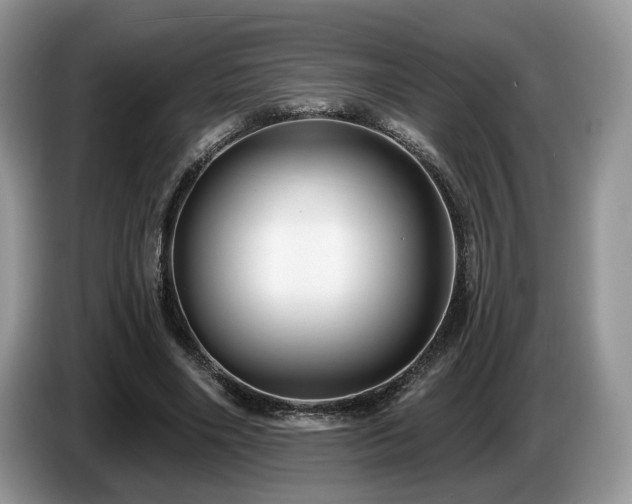 X0000087610490200704271343