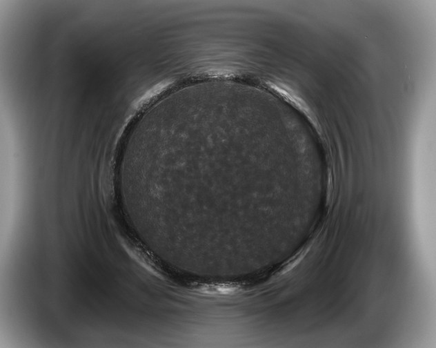 X0000087610492200704271343