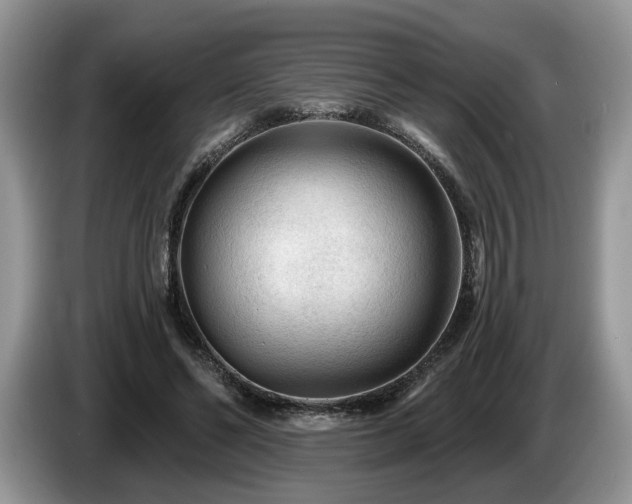 X0000087610494200704271343