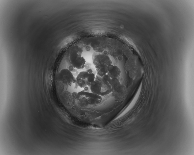 X0000087610495200704271343