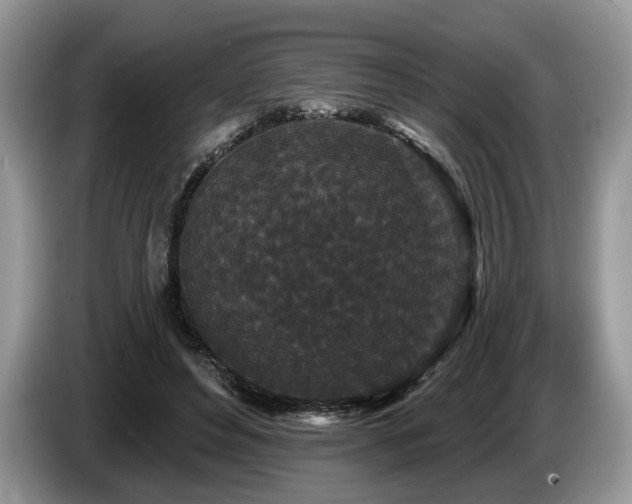 X0000087610496200704271343